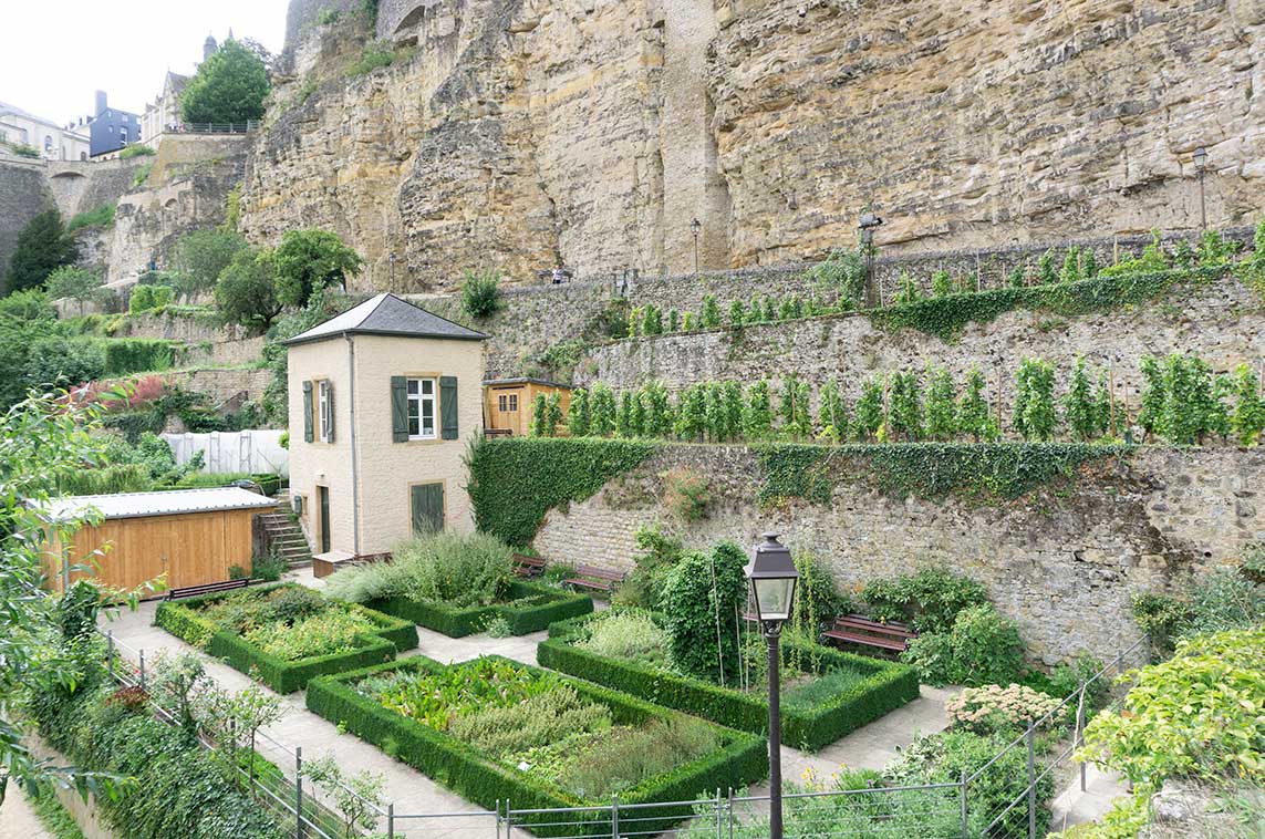 A small garden at the bottom of the casemates in Luxembourg City.